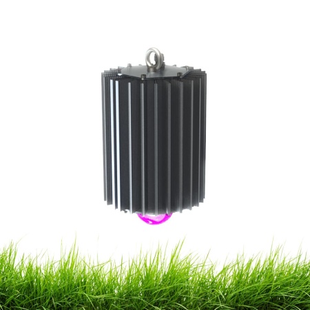 Профи v2.0 100 Фито 120° – №1